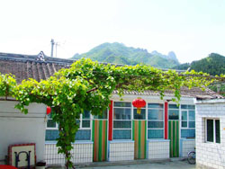 ��ᶹȹű��͗�