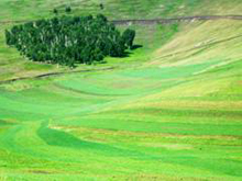 ������ԭ