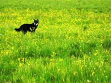 ��ԭ��ɽ���c��