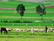 �����˼�