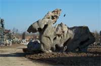 ������ʯ�@