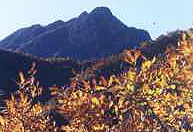 ��ɽ���Ȼ�L���^(q��)