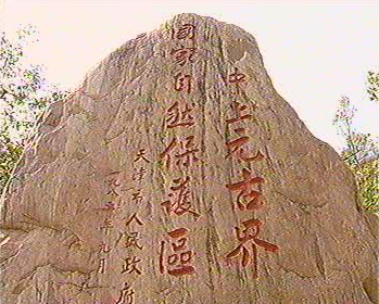 ����Ԫ�Ž������Ȼ���o�^