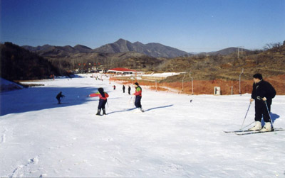 ������ѩ��